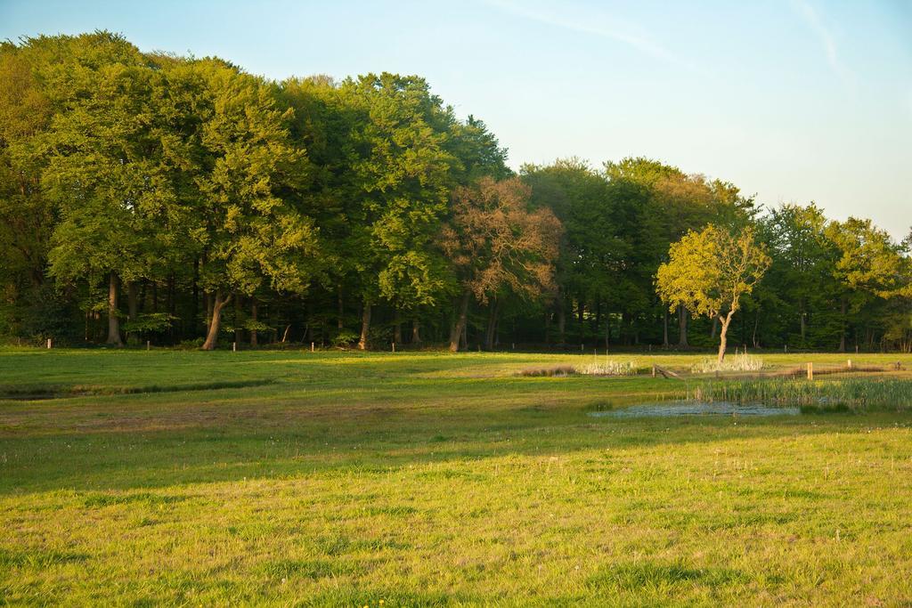 Hoeve Springendal 우트마숨 외부 사진